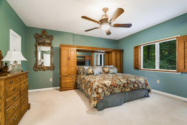 258 Turkey Dr, Mcgaheysville, VA 22840 - photo 43