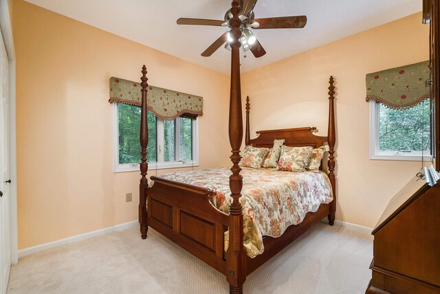 258 Turkey Dr, Mcgaheysville, VA 22840 - photo 48