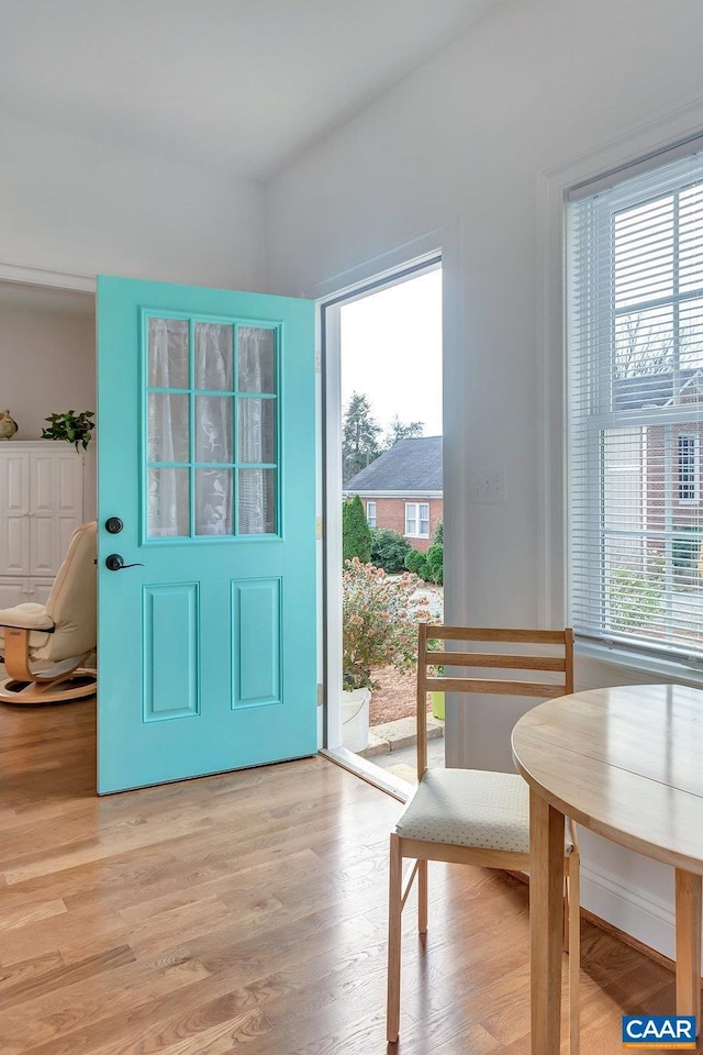 207 Douglas Ave, Charlottesville, VA 22902 - entryway featuring plenty of natural light and light wood-style floors