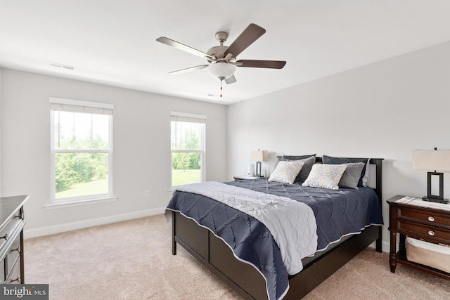 4909 Dorchester Ct, Partlow, VA 22534 - photo 59