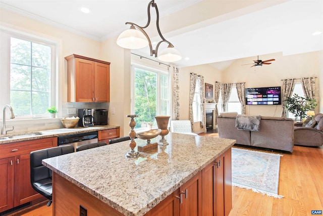 1623 Brandywine Dr, Charlottesville, VA 22901 - kitchen with a sink, stainless steel dishwasher, open floor plan, light wood-type flooring, and light stone counters