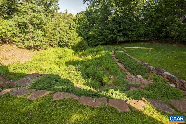 1623 Brandywine Dr, Charlottesville, VA 22901 - view of green lawn featuring a forest view