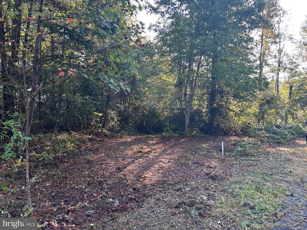0 Logtrac, Stanardsville, VA 22973