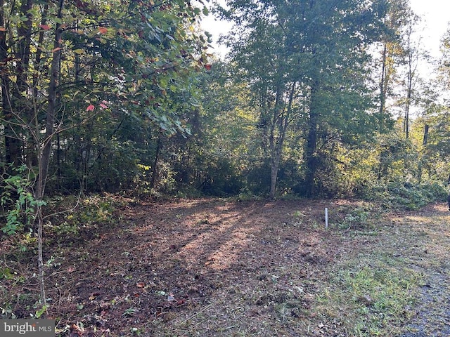 0 Logtrac, Stanardsville, VA 22973