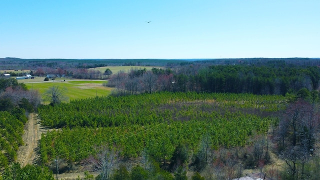 357AC Renan Rd, Gretna, VA 24557