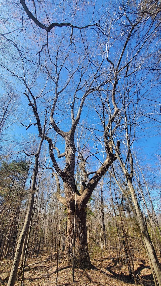 357AC Renan Rd, Gretna, VA 24557