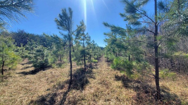 357AC Renan Rd, Gretna, VA 24557