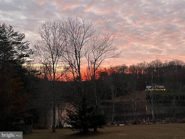view of nature at dusk