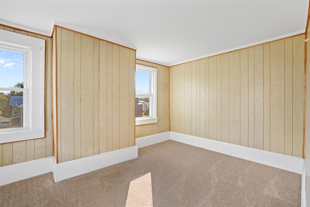 111 S High St, Edinburg, VA 22824 - empty room featuring wooden walls and carpet