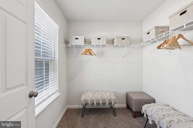 128 Rae Ct, Luray, VA 22835 - walk in closet with carpet