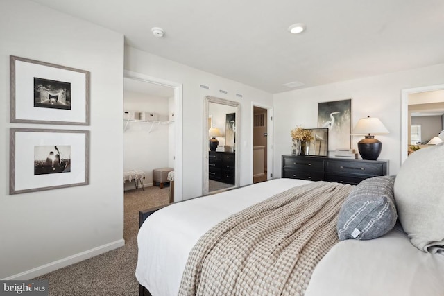 128 Rae Ct, Luray, VA 22835 - bedroom featuring carpet floors, a walk in closet, and a closet