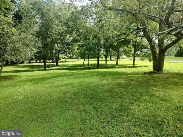 6200 Eds Rd, Mineral, VA 23117