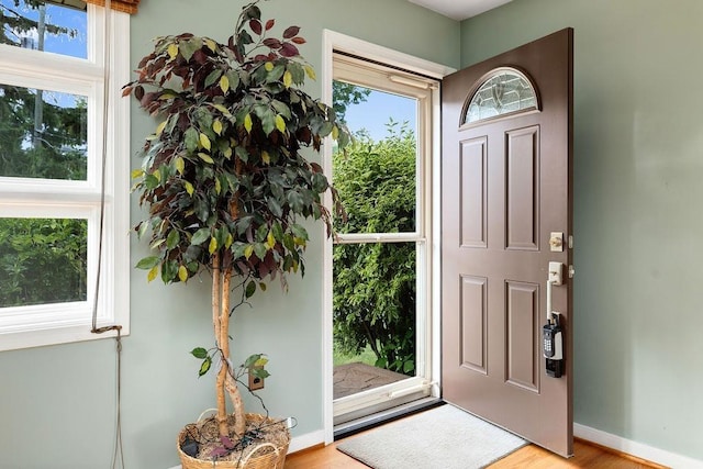 304 Burnley Dr, Staunton, VA 24401 - foyer entrance with plenty of natural light and light wood-style flooring