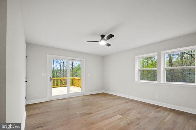 6426 Free Union Rd, Free Union, VA 22940 - photo 21