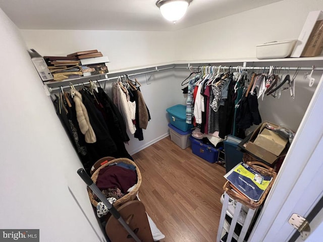 902 Eastover Pkwy, Locust Grove, VA 22508 - walk in closet featuring wood finished floors