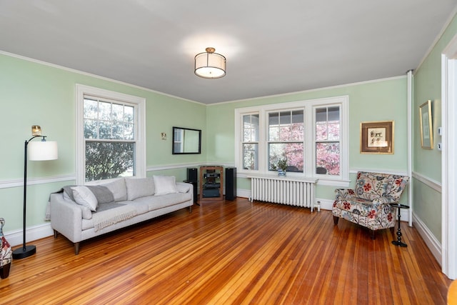 675 Beverley St E, Staunton, VA 24401 - living area featuring radiator, wood-type flooring, ornamental molding, and baseboards