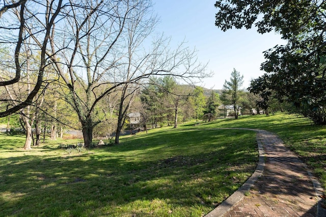 675 Beverley St E, Staunton, VA 24401 - view of home's community featuring a lawn