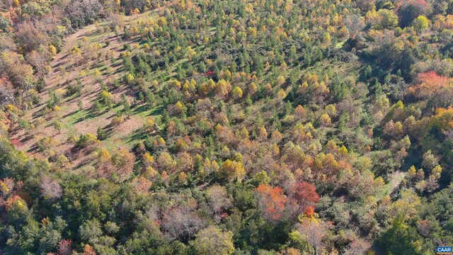 TBD Old Barboursville Rd, Gordonsville, VA 22942 - photo 6