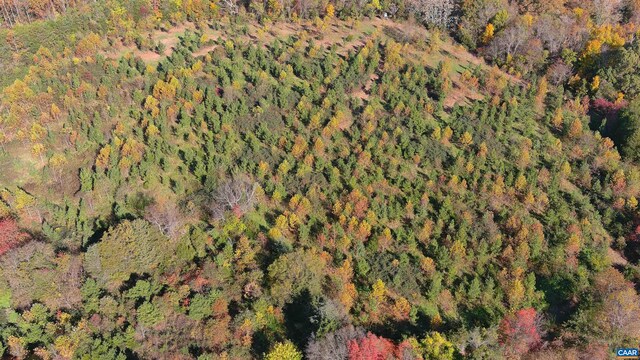 TBD Old Barboursville Rd, Gordonsville, VA 22942 - photo 5