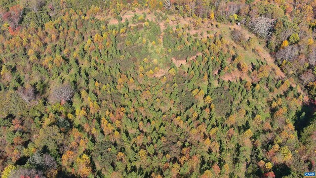 TBD Old Barboursville Rd, Gordonsville, VA 22942 - photo 4