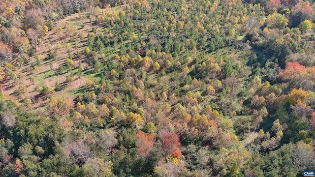 TBD Old Barboursville Rd, Gordonsville, VA 22942 - photo 7