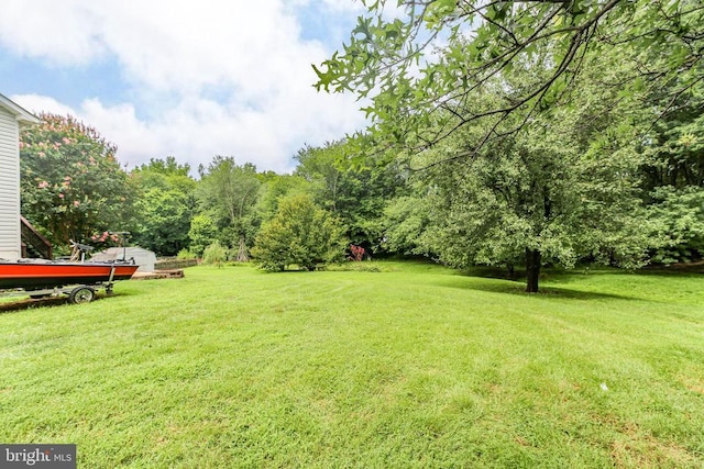 10708 Live Oak Ct, Fredericksburg, VA 22407 - view of green lawn