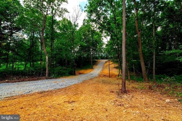 15 Mont View Ln, Luray, VA 22835 - photo 12