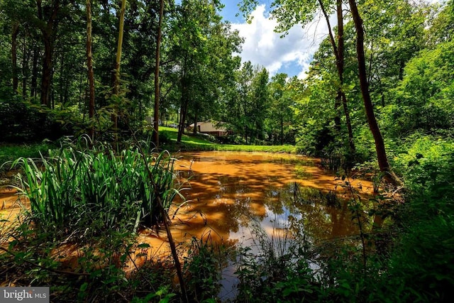 15 Mont View Ln, Luray, VA 22835 - photo 4