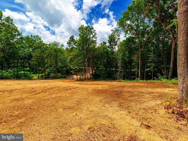 15 Mont View Ln, Luray, VA 22835 - photo 10