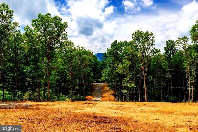 15 Mont View Ln, Luray, VA 22835 - photo 3