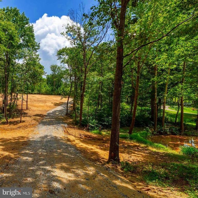 15 Mont View Ln, Luray, VA 22835 - photo 17