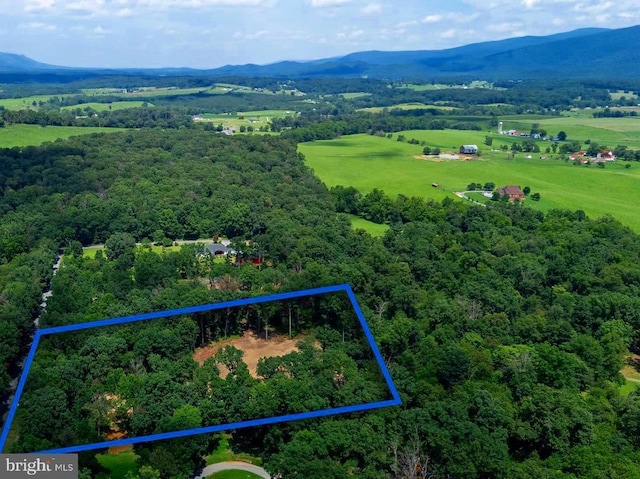 15 Mont View Ln, Luray, VA 22835 - photo 16