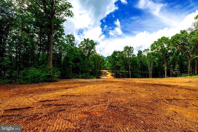 15 Mont View Ln, Luray, VA 22835 - photo 8