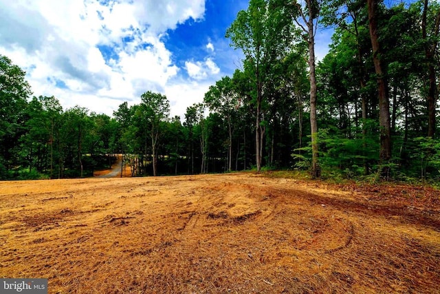 15 Mont View Ln, Luray, VA 22835 - photo 9