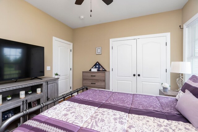 82 Willow Ln, Waynesboro, VA 22980 - bedroom with a closet and a ceiling fan