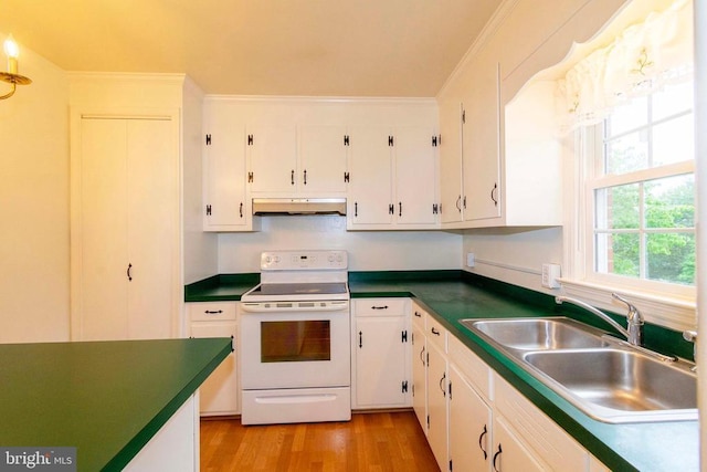 316 Mimosa Ln, Orange, VA 22960 - photo 26