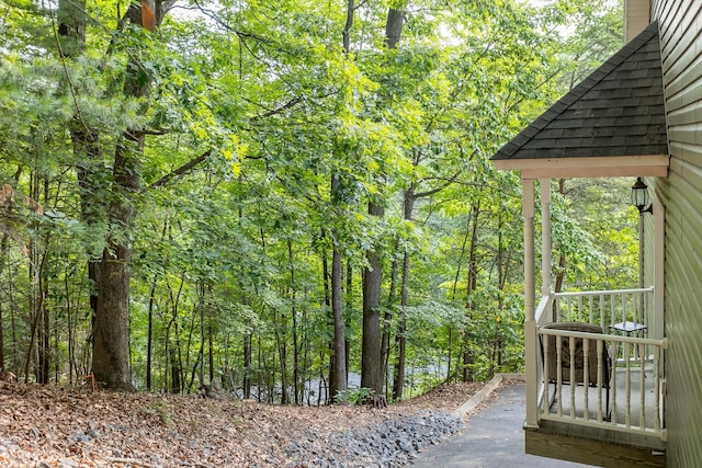 2226 Lanier Ln, Mcgaheysville, VA 22840 - view of property's community featuring a forest view