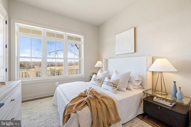 7039 Silk, Jeffersonton, VA 22724 - bedroom featuring baseboards, multiple windows, and wood finished floors