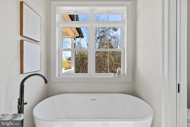 7039 Silk, Jeffersonton, VA 22724 - full bath with plenty of natural light and a soaking tub