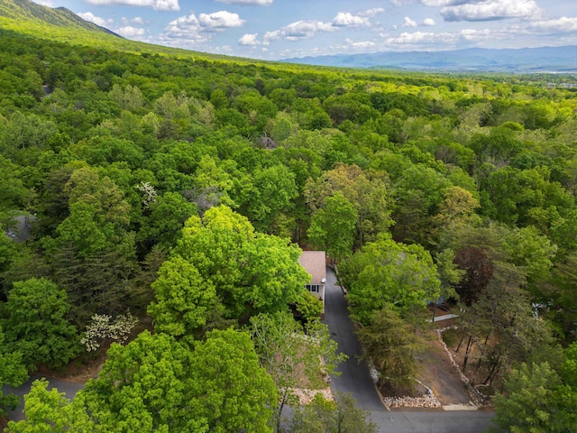 bird's eye view of a heavily wooded area