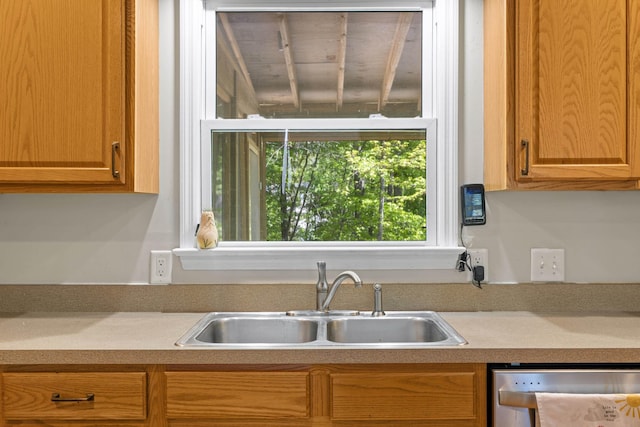kitchen featuring a sink, dishwasher, and light countertops