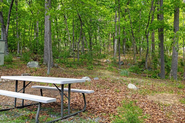 view of home's community featuring a forest view