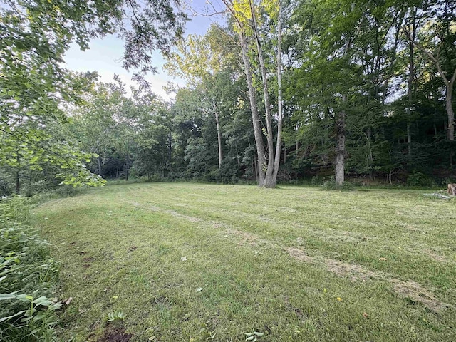 79 River Ridge Rd, Verona, VA 24482 - view of grassy yard featuring a forest view