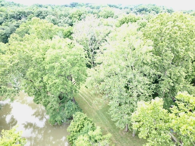 79 River Ridge Rd, Verona, VA 24482 - bird's eye view of a nearby body of water and a heavily wooded area