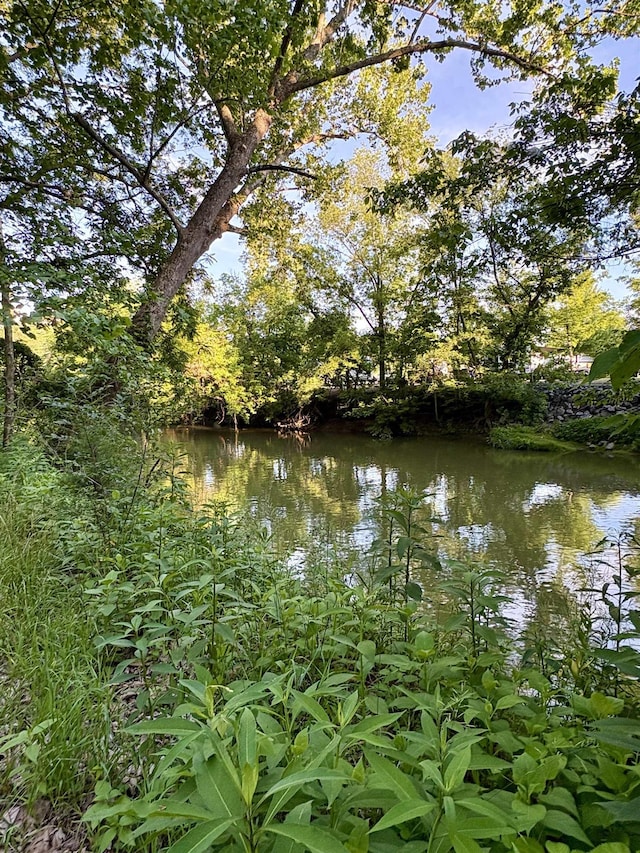 79 River Ridge Rd, Verona, VA 24482 - water view