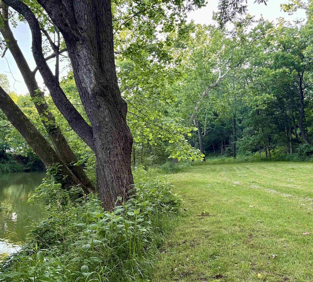 79 River Ridge Rd, Verona, VA 24482 - view of green lawn with a view of trees