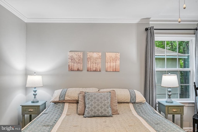 343 Aspen Hill Rd, Mineral, VA 23117 - bedroom featuring crown molding