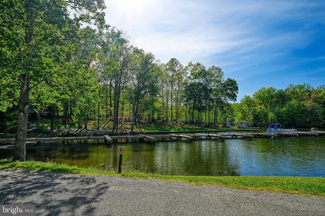 343 Aspen Hill Rd, Mineral, VA 23117 - water view