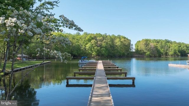 343 Aspen Hill Rd, Mineral, VA 23117 - dock with a water view and a view of trees