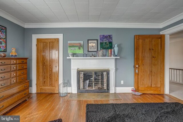 202 Cutler Ave, Louisa, VA 23093 - living area featuring hardwood / wood-style floors, ornamental molding, and a fireplace with flush hearth